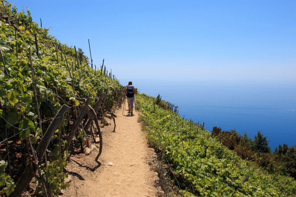 cinque-terre-sentieri