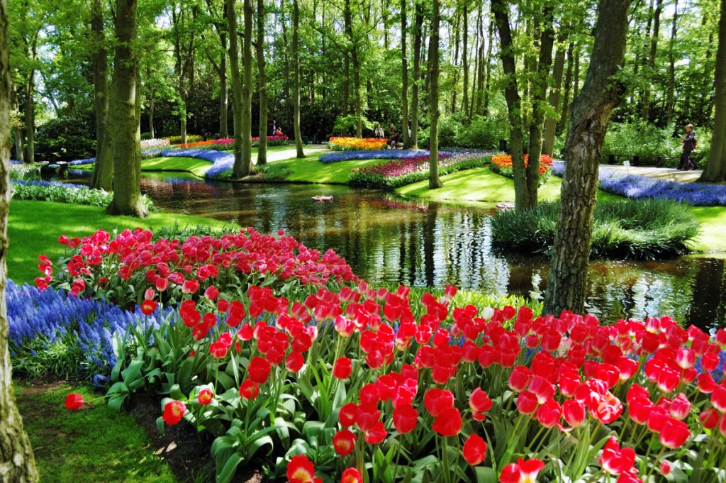 parco-keukenhof-olanda