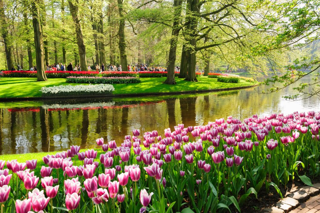 parco-keukenhof-olanda1