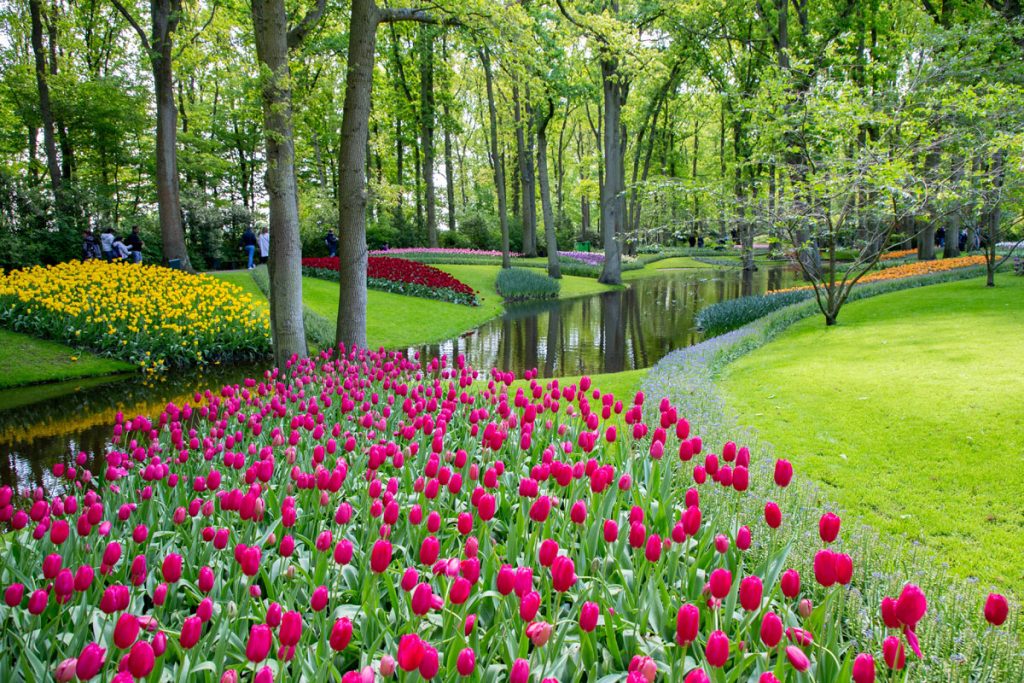 parco-keukenhof-olanda4