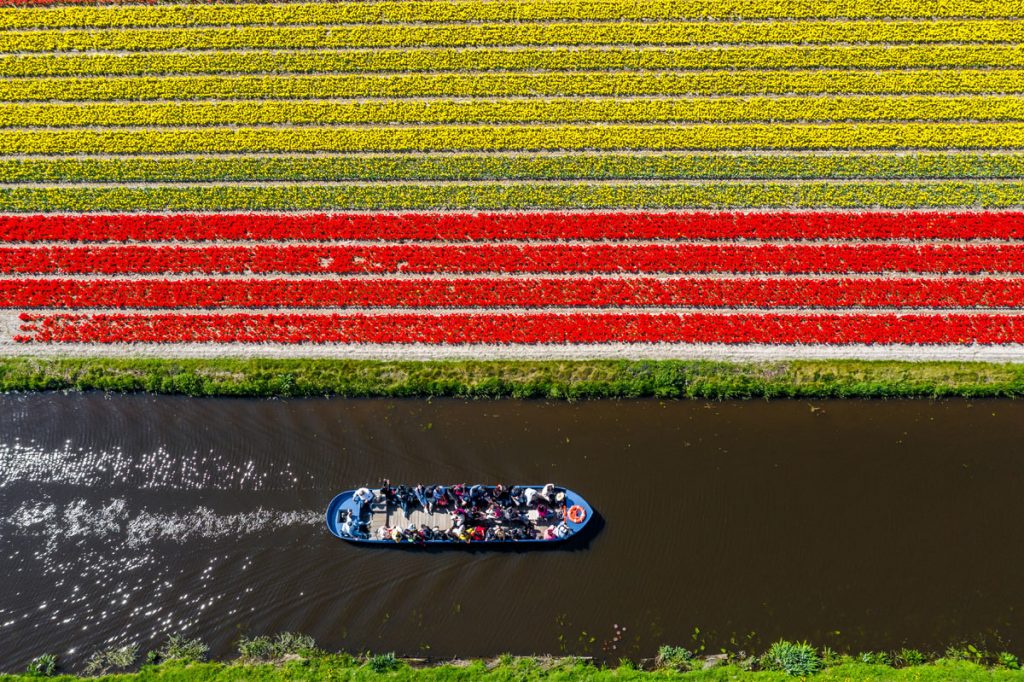 parco-keukenhof-olanda5