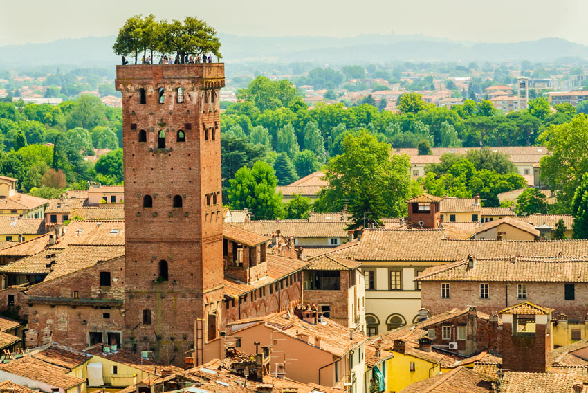 torre guinigi lucca