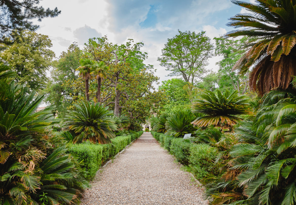 orto botanico pisa