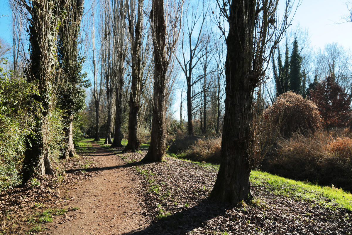 parco della vernavola