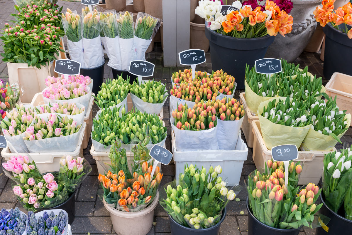 mercato dei fiori amsterdam