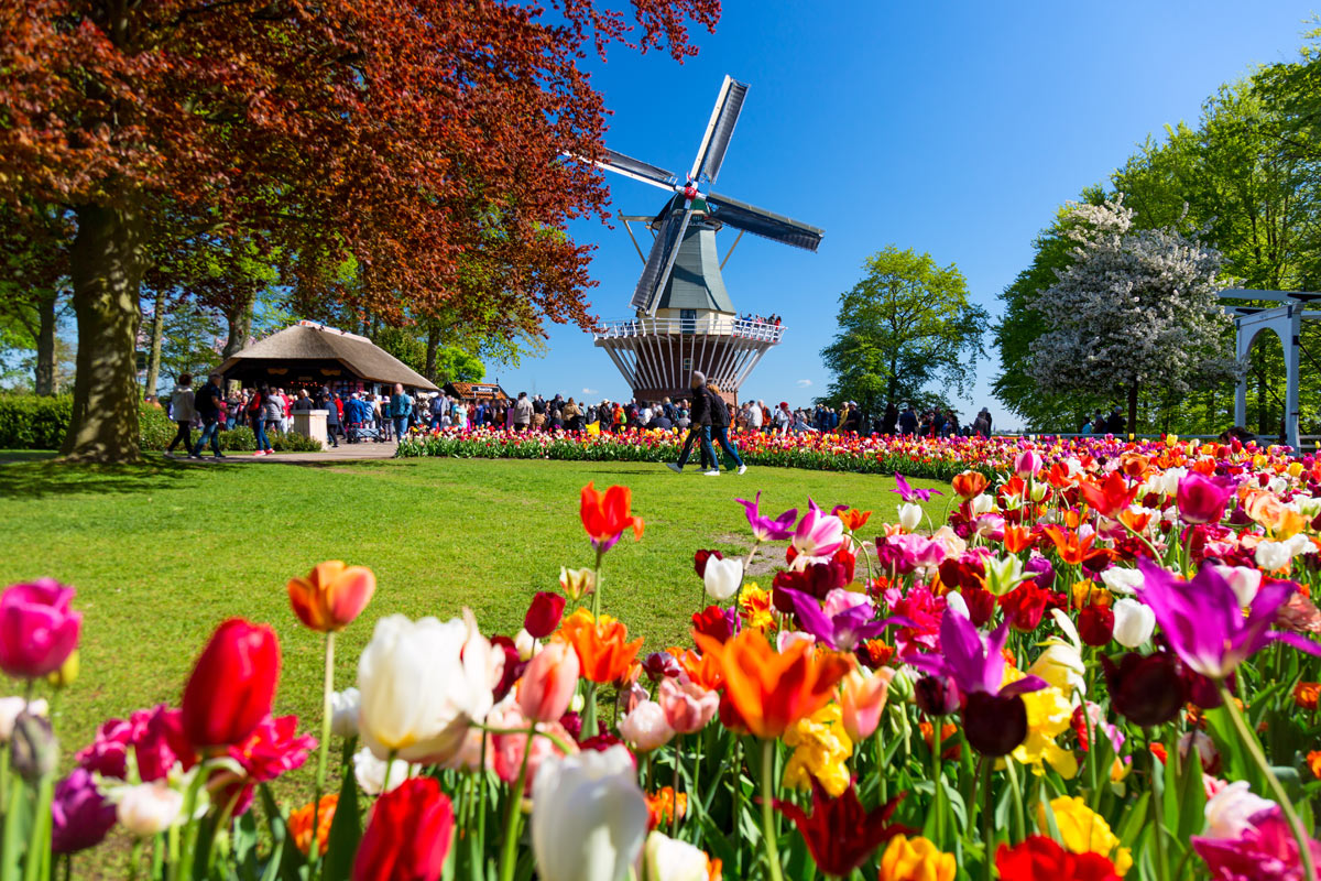 parco Keukenhof amsterdam