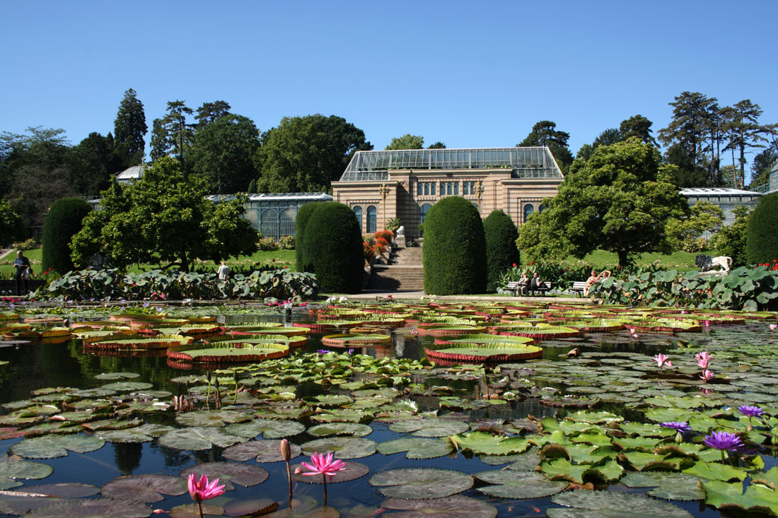 Stoccarda 10 motivi per cui visitare la bellissima città tedesca