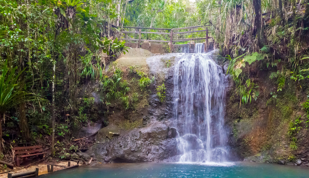 Coloi-Suva Forest Park