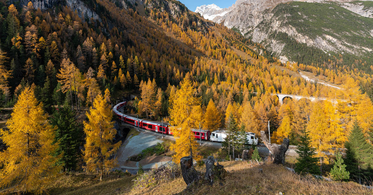 treno del foliage