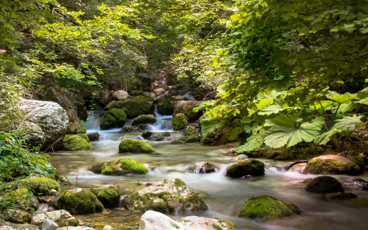 bosco dell'infernaccio