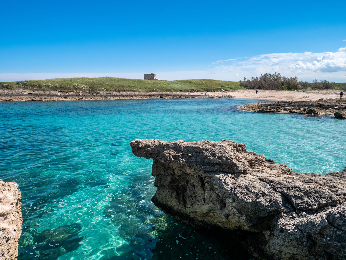 spiaggia di torre guaceto in puglia