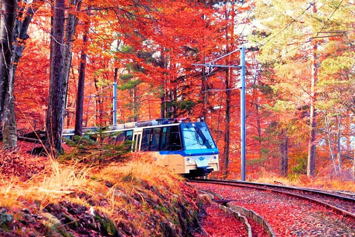 treno del Foliage