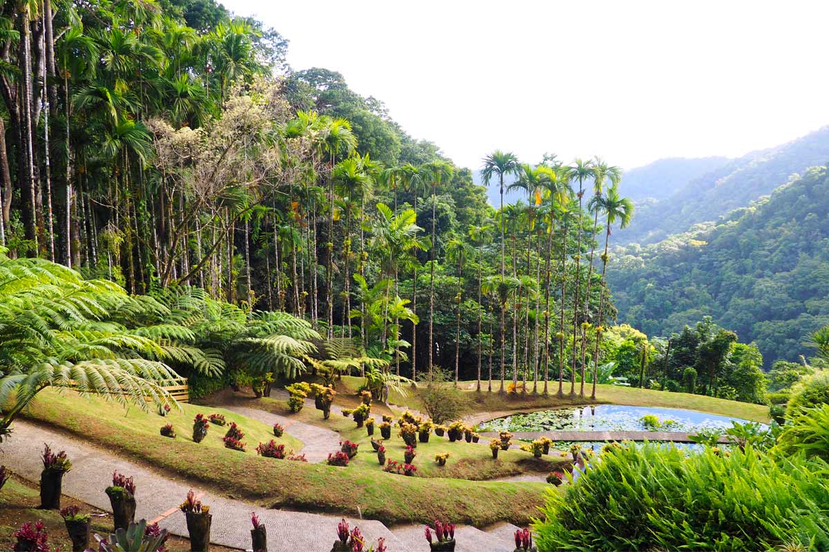jardin de Balata in Martinica