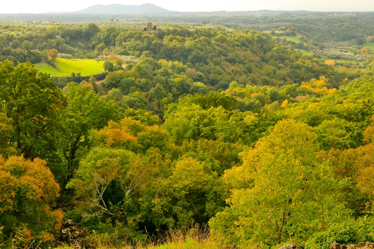 Riserva naturale regionale selva del Lamone