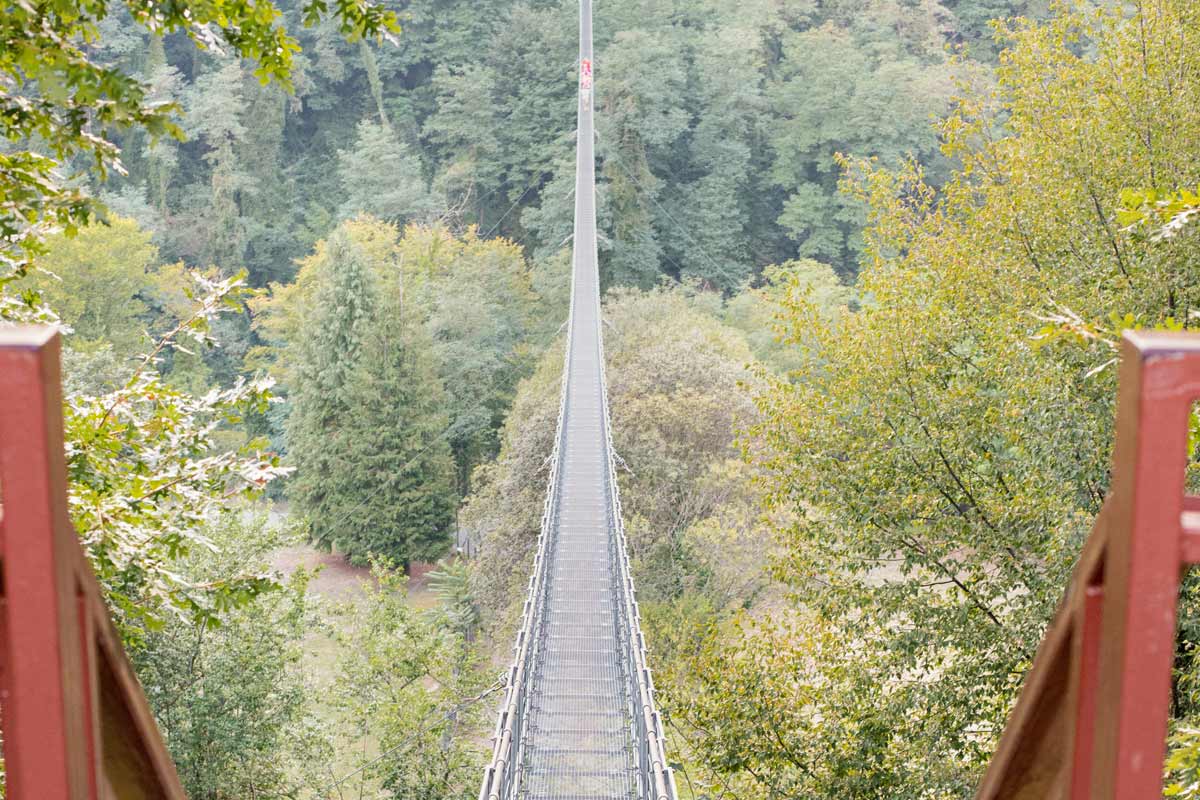 ponte delle Ferriere