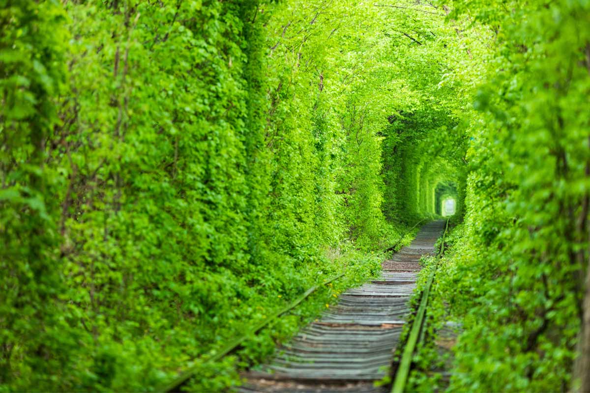 tunnel dell'amore in Ucraina