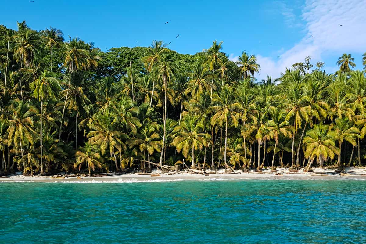 spiaggia dell'isola di Gorgona, Colombia