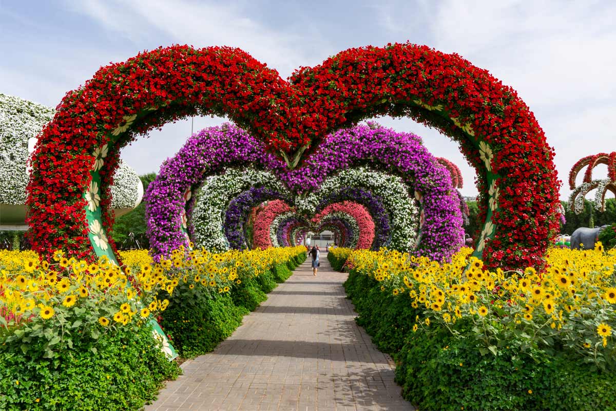 Miracle Garden di Dubai