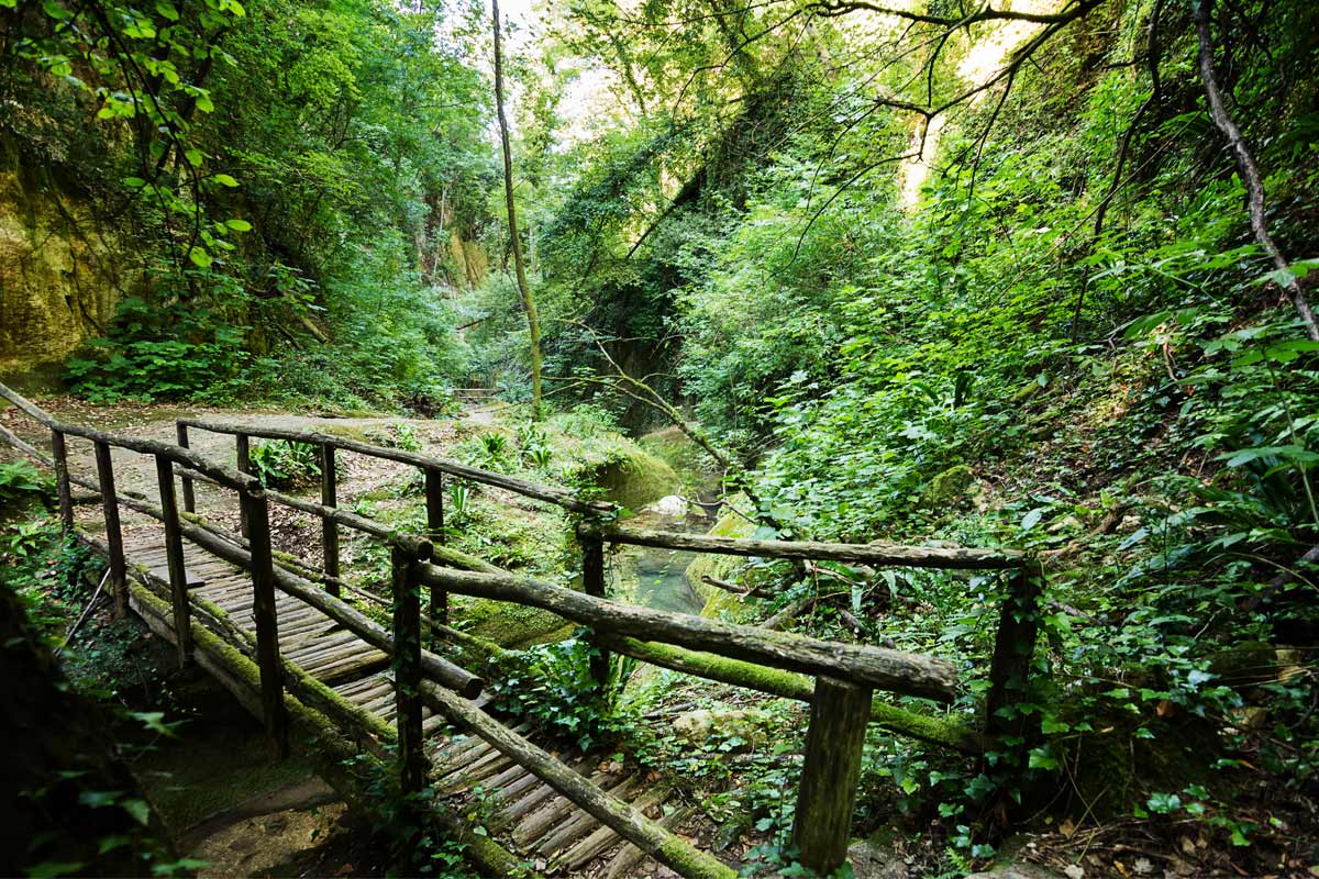 ponticello nella valle del Fiume Alento