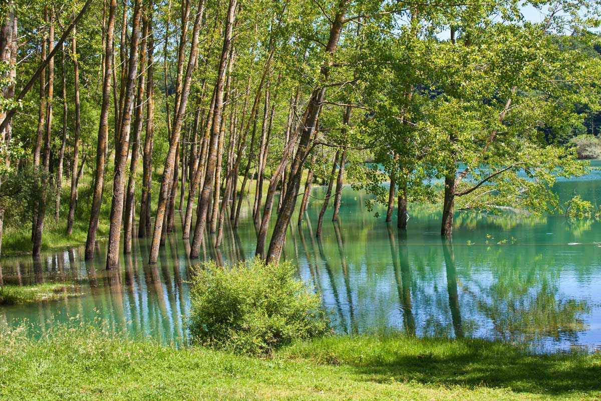 lago di Cardito