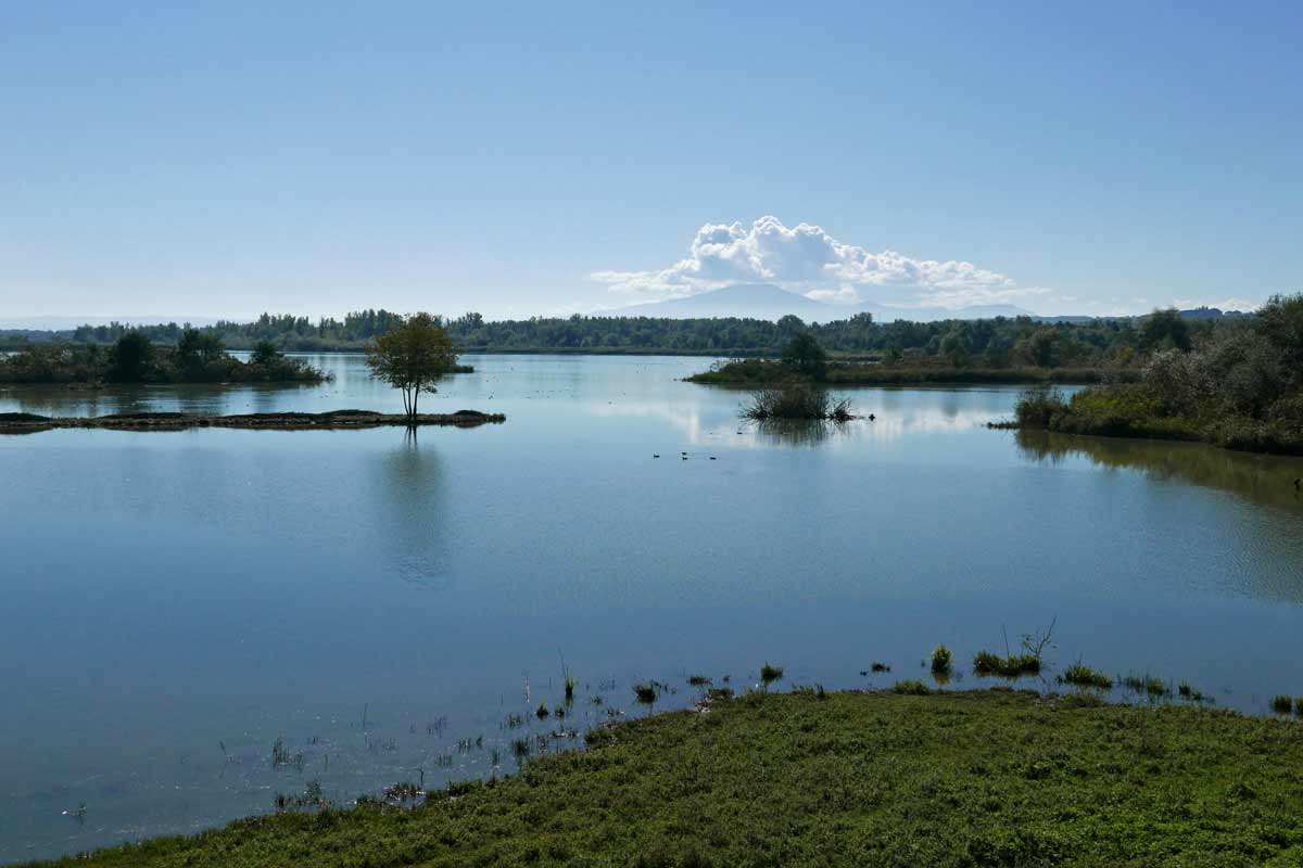 lago di Alviano in Umbria