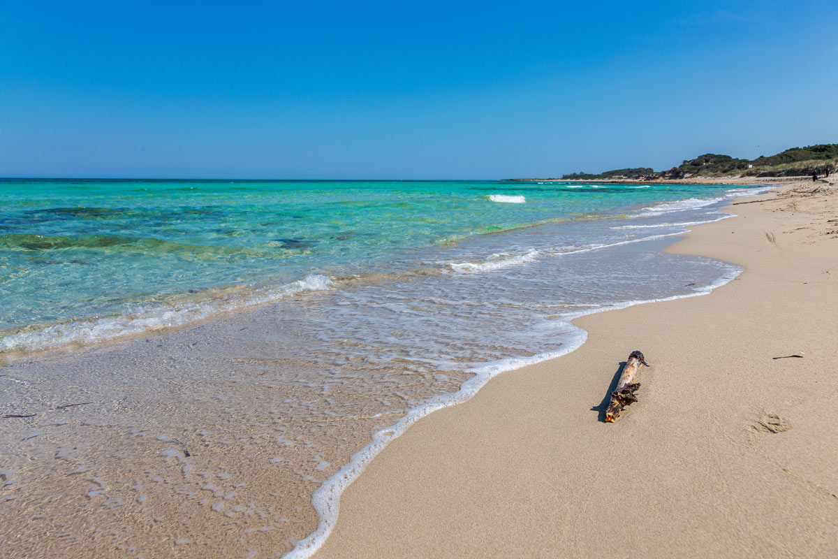 spiaggia di Torre Guaceto in Puglia