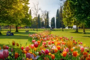 Parco Sigurtà