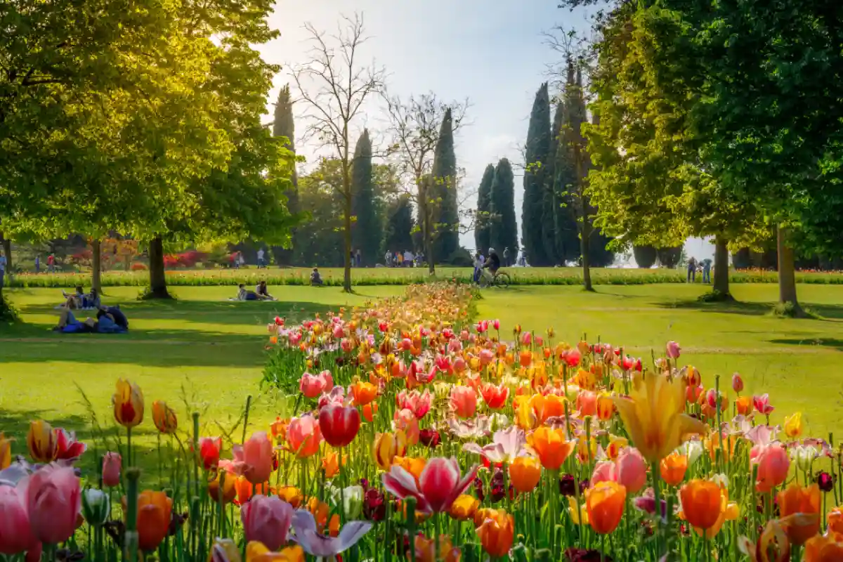 Parco Sigurtà