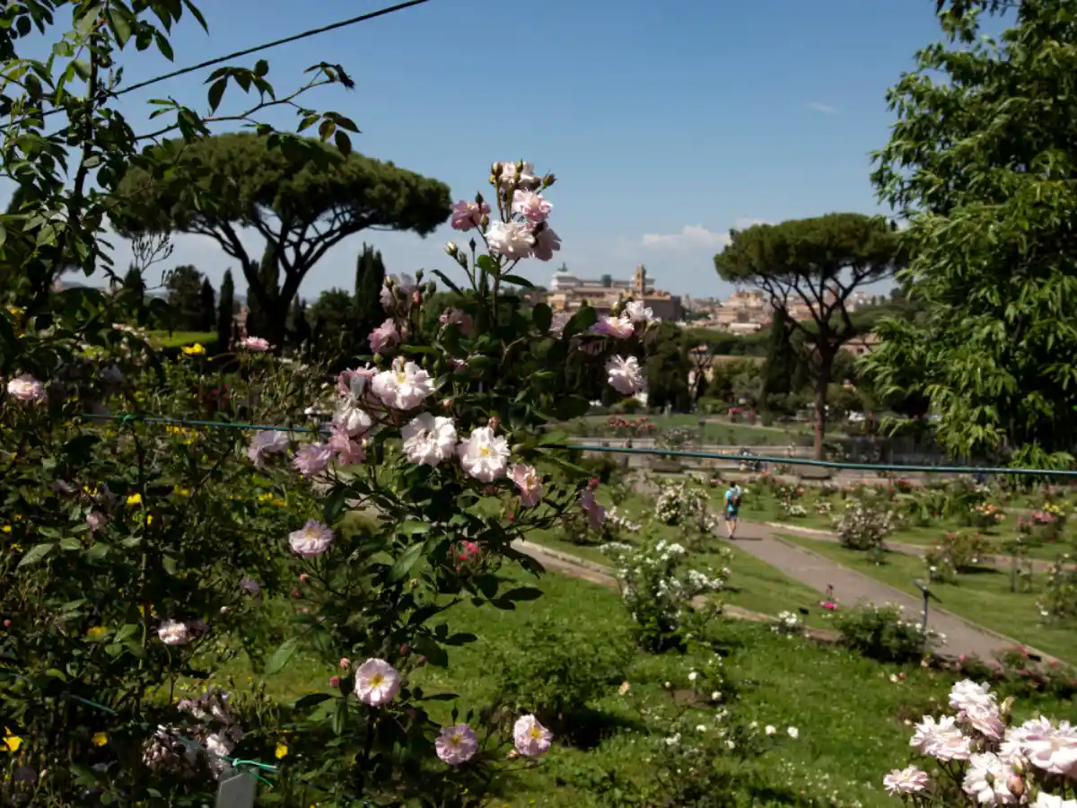 roseto comunale di Roma