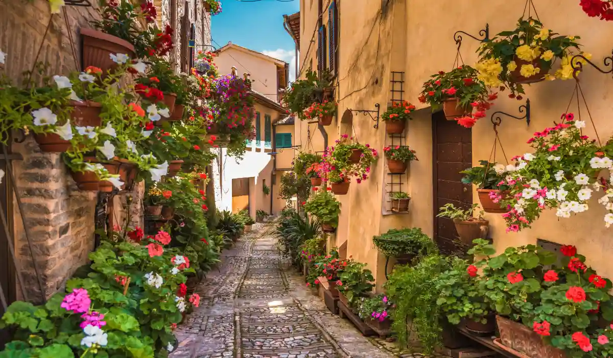 vicolo fiorito a Spello, Umbria