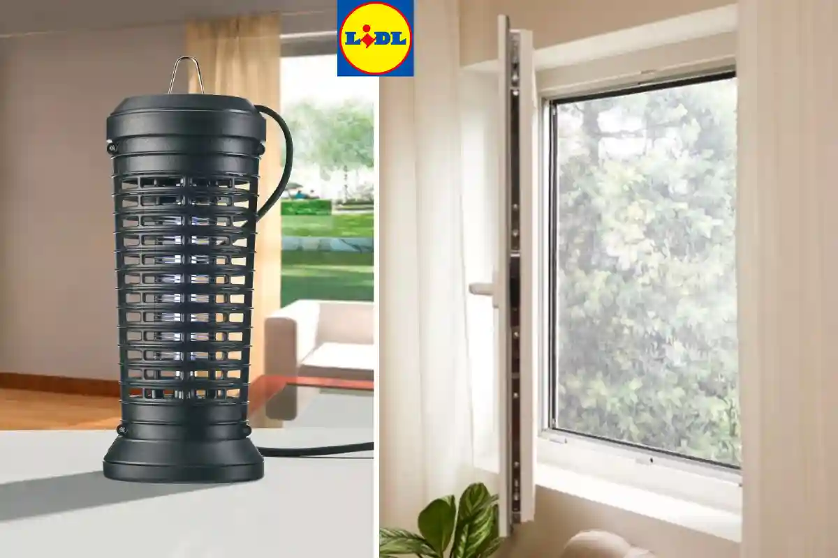 lampada insetticida e zanzariera Lidl