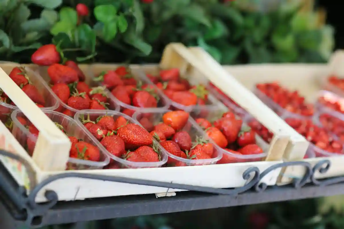fragole di Nemi in cassetta di legno