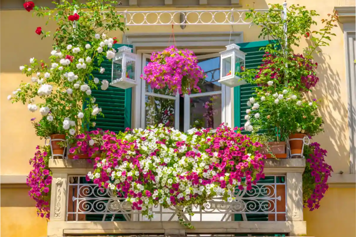 surfinie e rose che pendono dal balcone